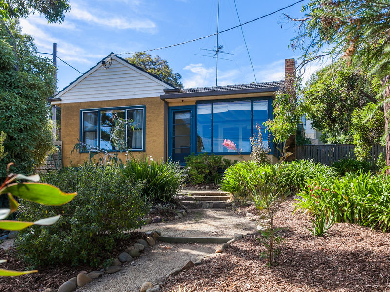 20 Camp Road, Anglesea, VIC 3230