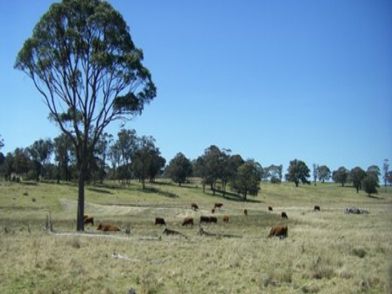 ENMORE, Armidale, NSW 2350 Property Details