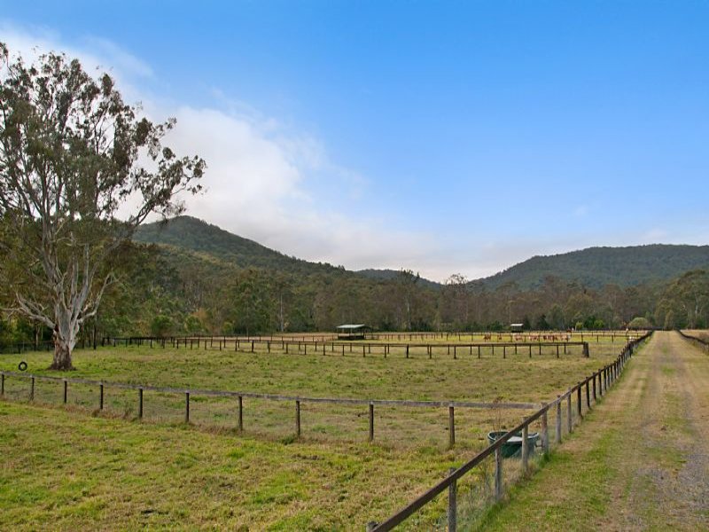 1241 Leggetts Drive, Mount Vincent, NSW 2323