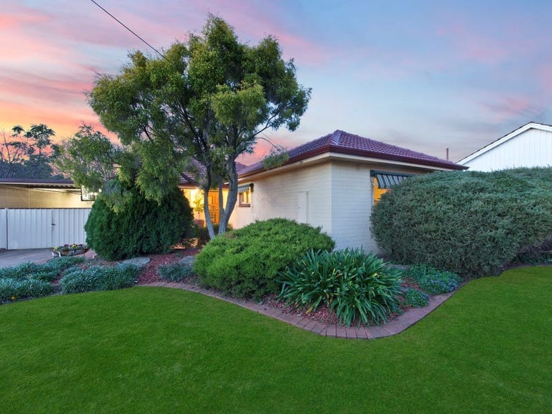 Rental Properties and Real Estate in SA (+1 location) - realestate.com.au