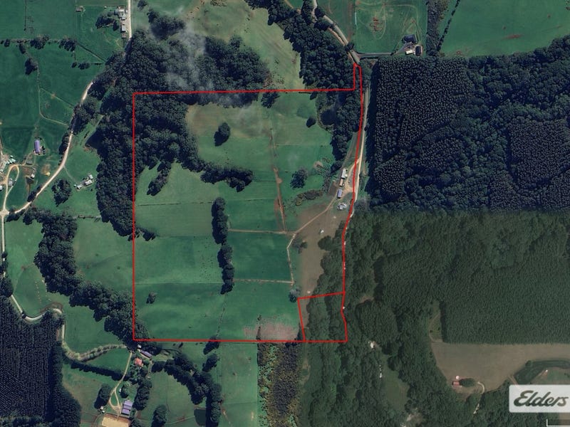 184 Youngs Road, Irishtown, Tas 7330 Dairy for Sale