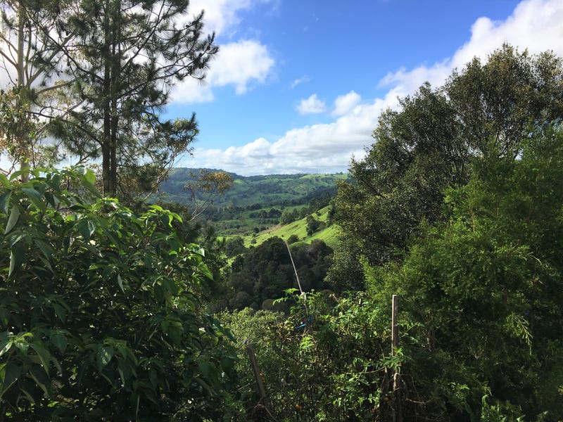 4/727 Maleny Montville Road, Balmoral Ridge, Qld 4552