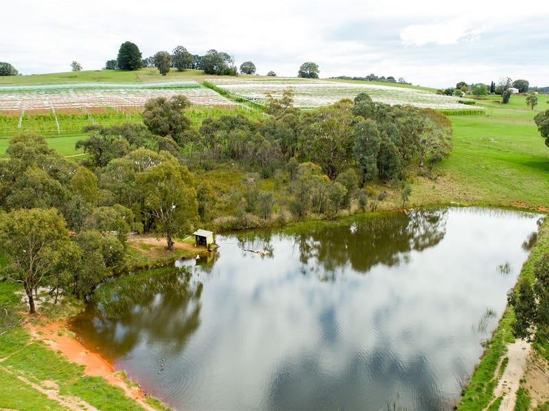 Rural properties for Sale in Tumbarumba, NSW 2653