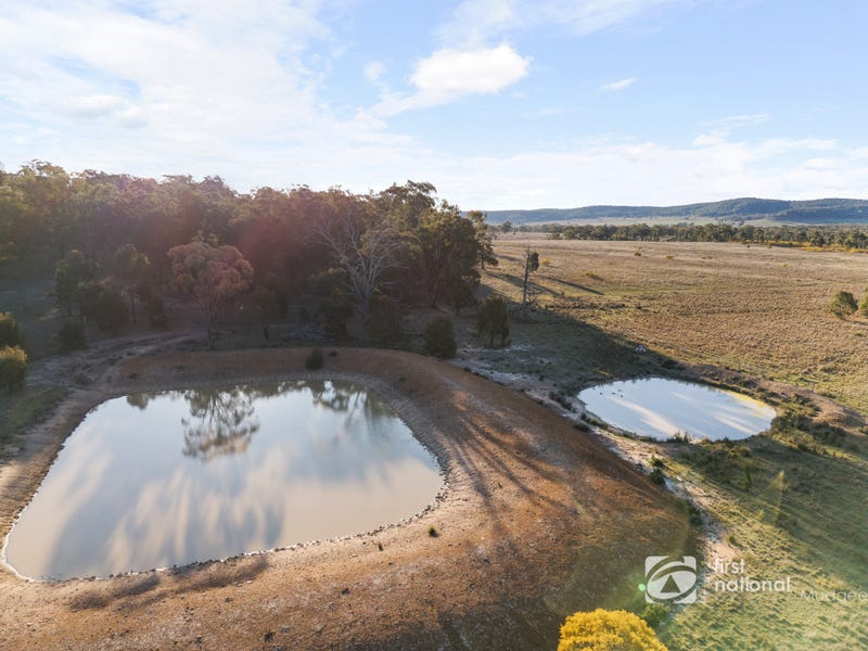 2549 Digilah Road, Dunedoo, NSW 2844 Other for Sale