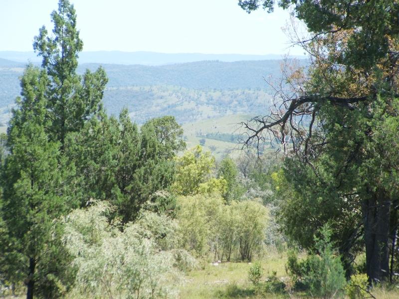 Address available on request, Torrington, NSW 2371 Property Details