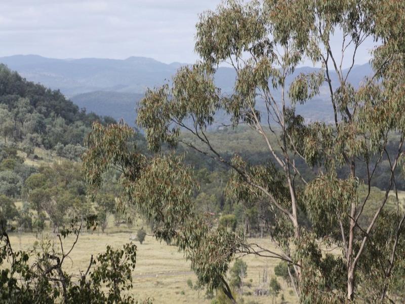 Lot 2 Woodside Rd, Tenterfield, NSW 2372 Property Details