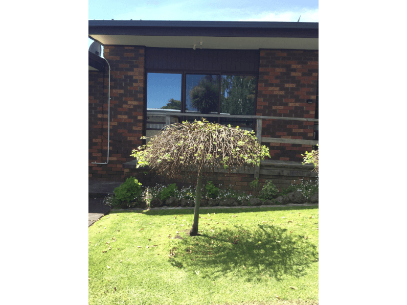 1/27 Young Street, Drouin, VIC 3818