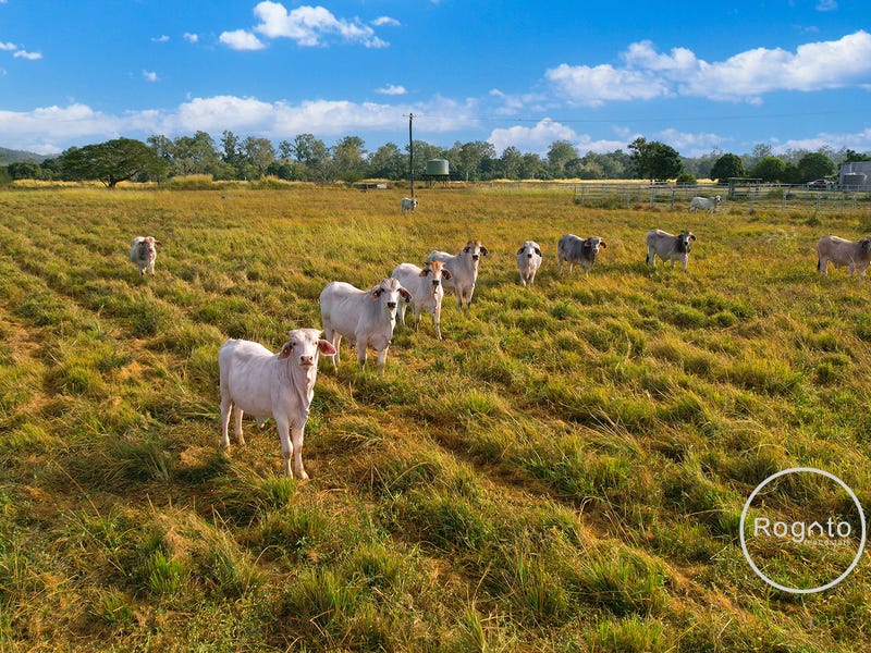 Rural properties for Sale in Mona Mona, QLD 4881