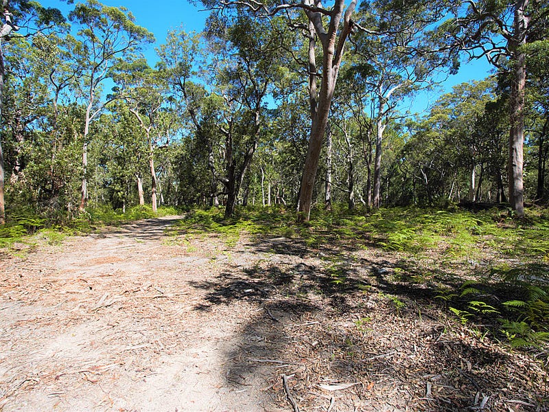 Real Estate & Property for Sale in North Pindimar, NSW 2324 Pg. 15