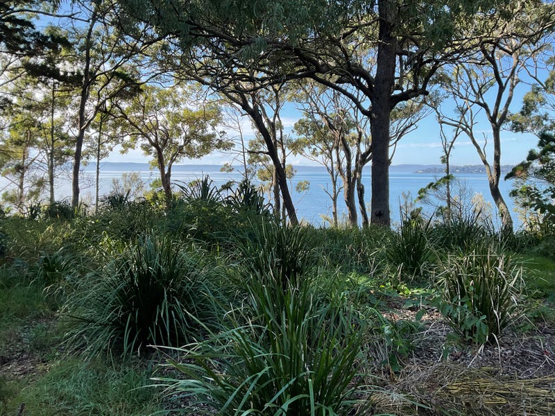 Real Estate & Property for Sale in Lamb Island, QLD 4184 (+2 locations