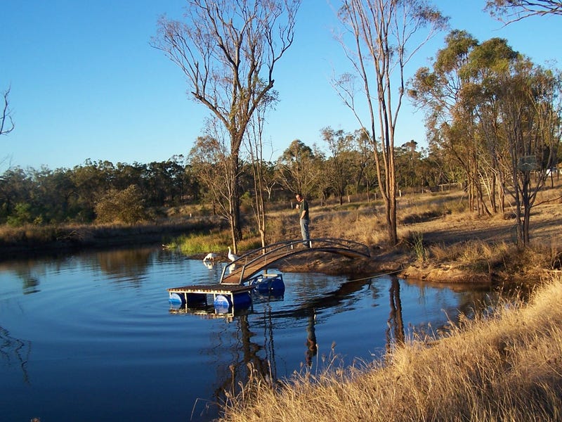 98 Black Gin Creek Road, Alton Downs, QLD 4702