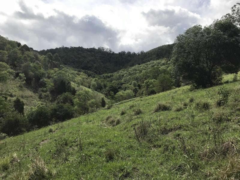 424 Paddock Creek Road, Caffreys Flat, NSW 2424