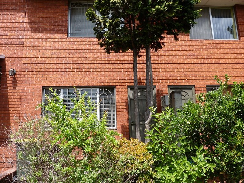 7880 Helena Street, Auburn, NSW 2144