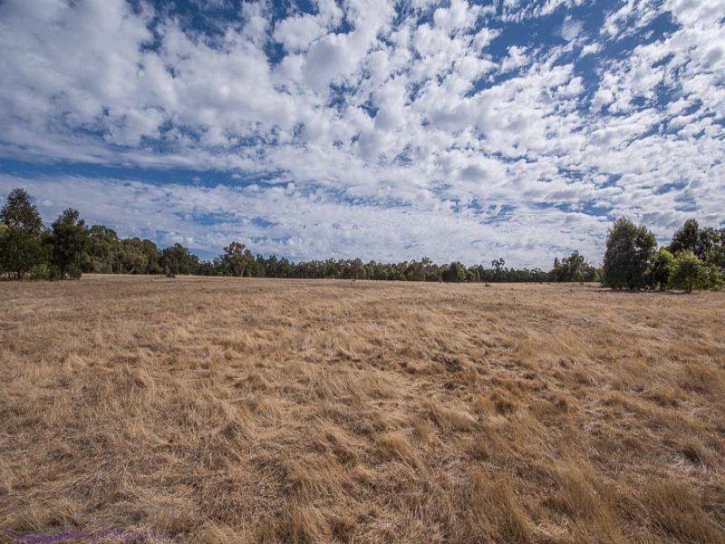 238 Berry Road, Gidgegannup, WA 6083