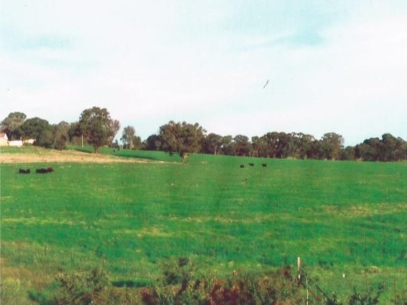 32 Kangaroo Flat Road, Cowra, NSW 2794