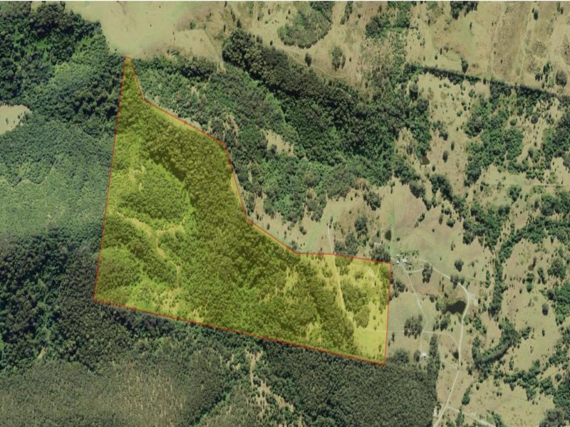 2 498 Bulga Road, Wingham, NSW 2429 Property Details