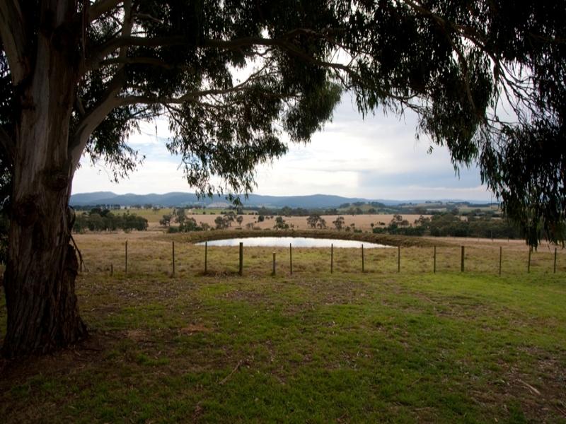 1151 Rochford Road, Newham, Vic 3442 Property Details