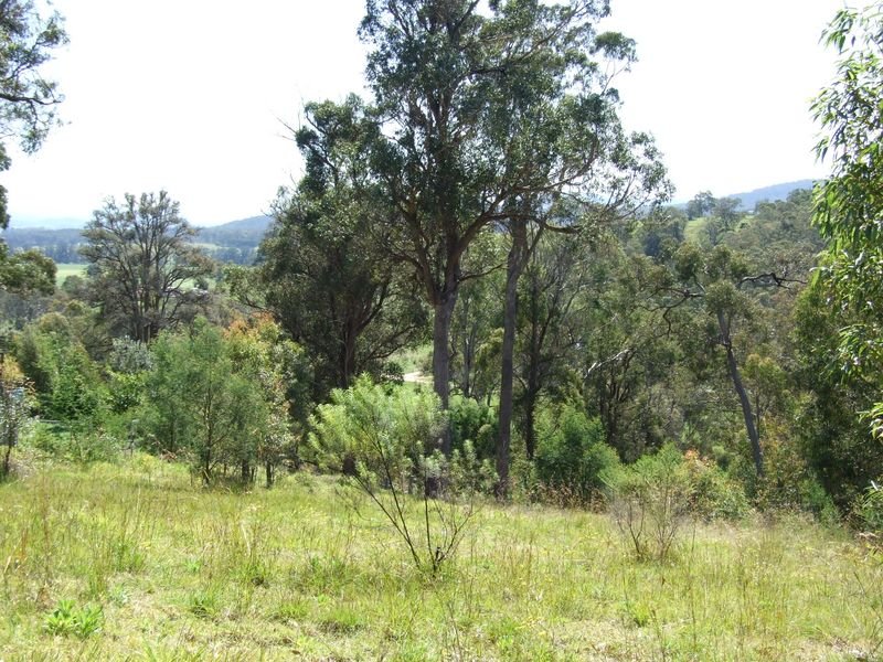 88 Jellat Way, Kalaru, NSW 2550