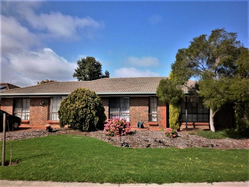 17 Bartlett Drive, Novar Gardens, SA 5040