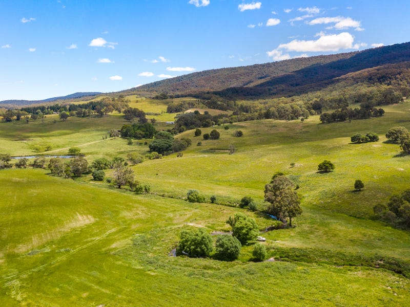 Real Estate & Property for Sale in Braidwood, NSW 2622 Pg. 2