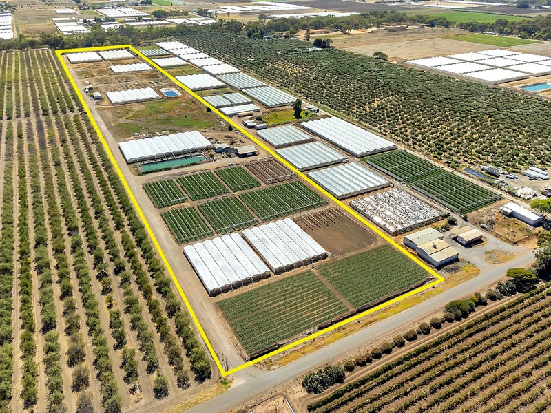 Real Estate & Property for Sale in SA Pg. 8