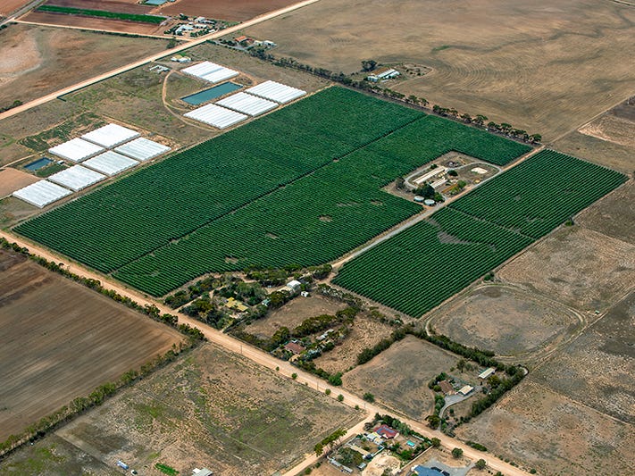 286 Buckland Park Road, Two Wells, SA 5501