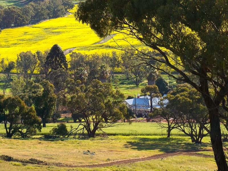 1050 Katrine Road, Katrine, WA 6401