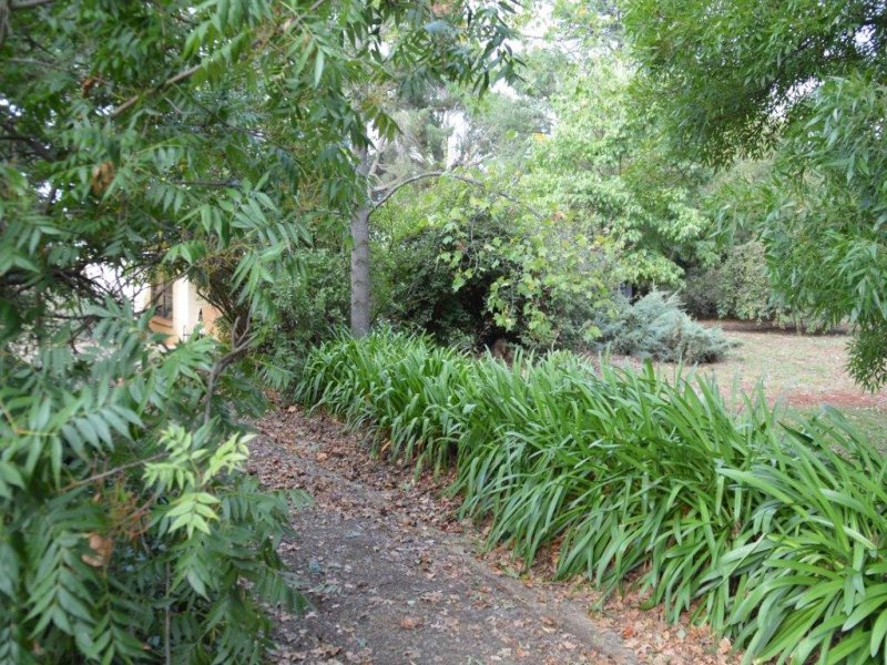 "Nirvana" 963 Pinnacle Road, Orange, NSW 2800 Property Details