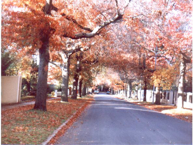 35 Monomeath Avenue, Canterbury, VIC 3126