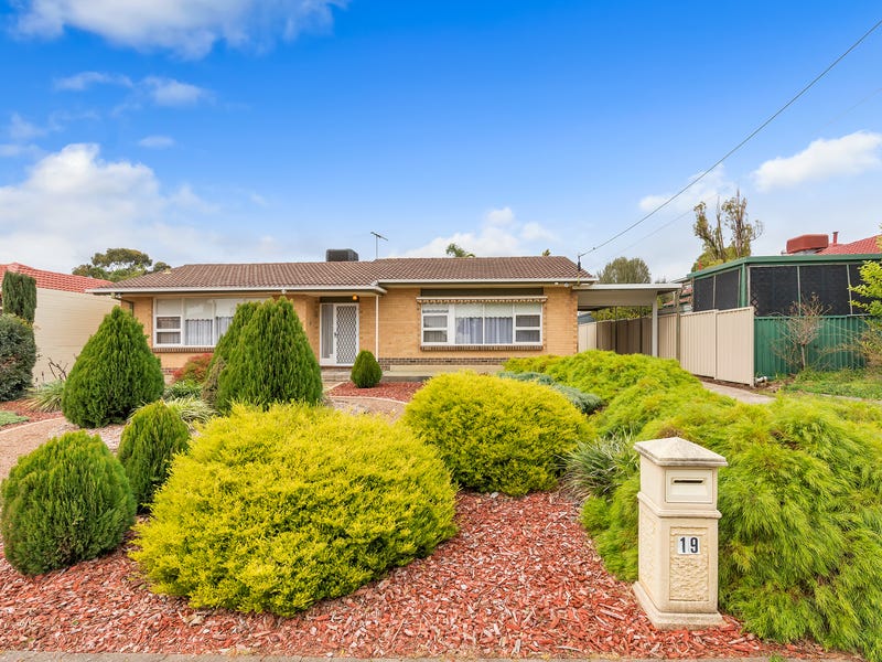 19 Rex Avenue, Gilles Plains, SA 5086