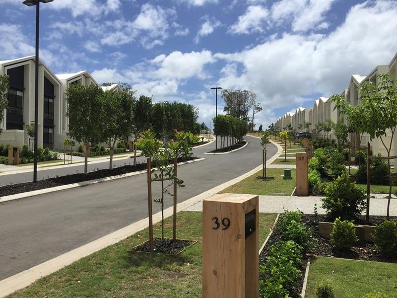 39 Curlew Way, Peregian Springs, QLD 4573