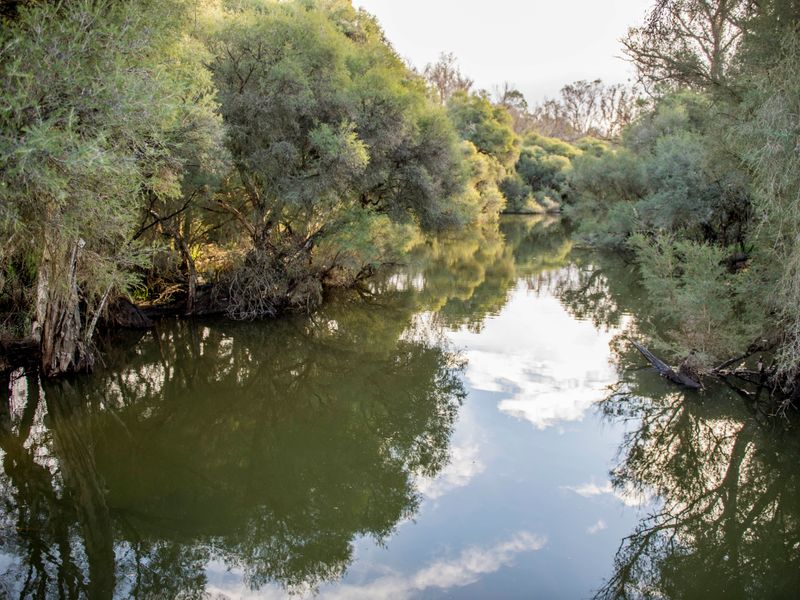 6657 Donnybrook Boyup Brook Road Boyup Brook Wa 6244 6657 Donnybrook Boyup Brook Road Boyup Brook Wa 6244