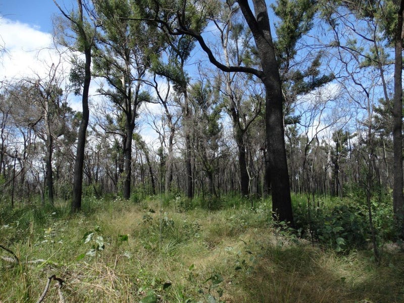 171 Deepwater Road, Deepwater, Qld 4674 Property Details