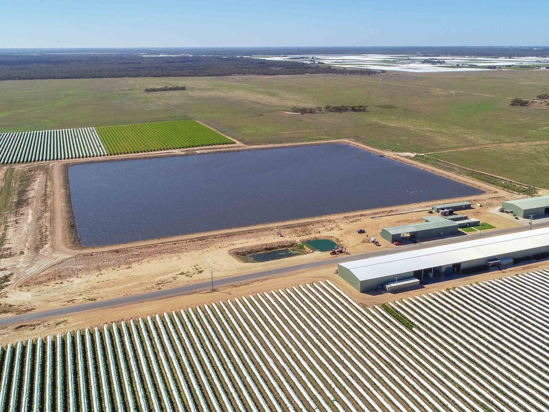 Bella Vista Morris Road, Euston, NSW 2737 Horticulture for Sale