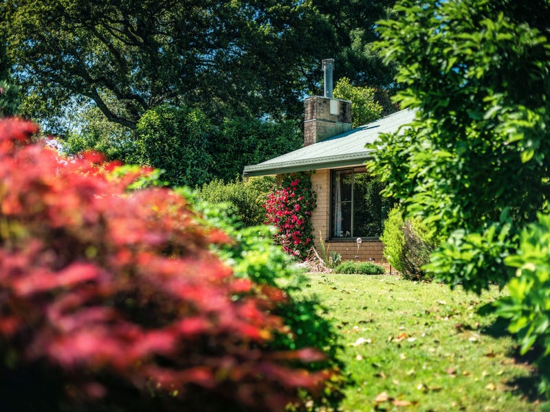 39 Summit Close, Dorrigo, NSW 2453 House for Sale