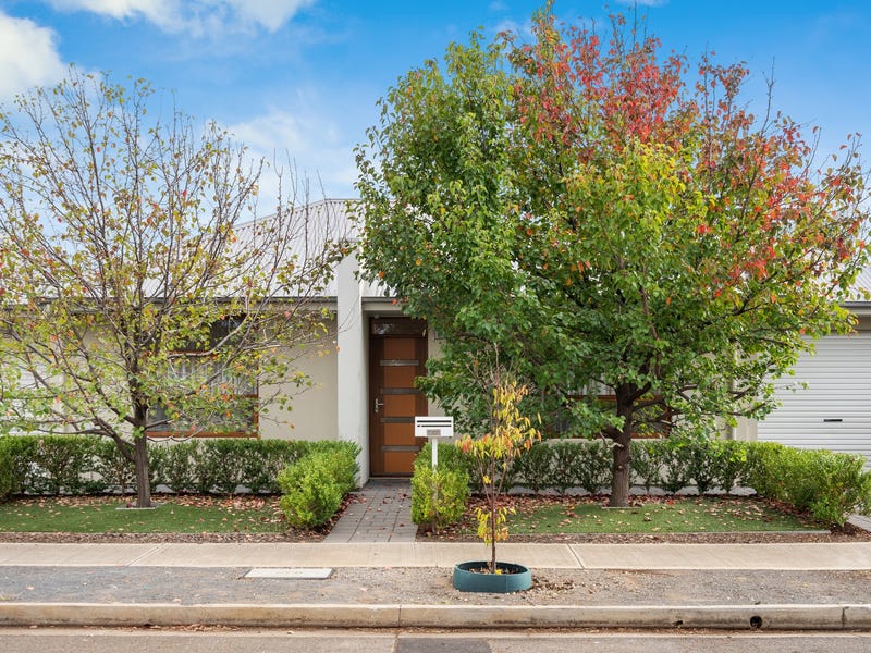 45 Allison Street, Ascot Park, SA