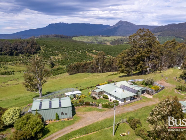 184 Hayes Road, Blessington, Tas 7212 Property Details