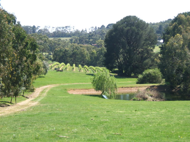 228 Bitterndromana Road, Merricks North, VIC 3926