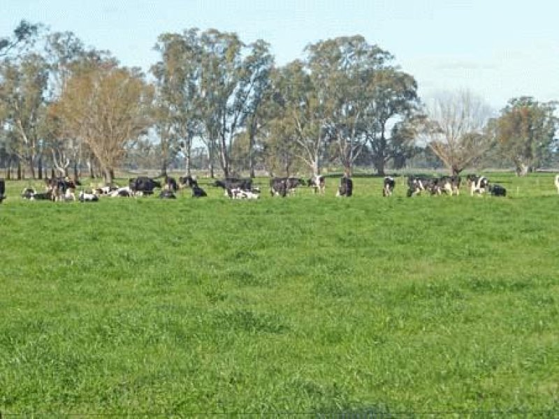 400 Neal Road, Undera, Vic 3629 Property Details