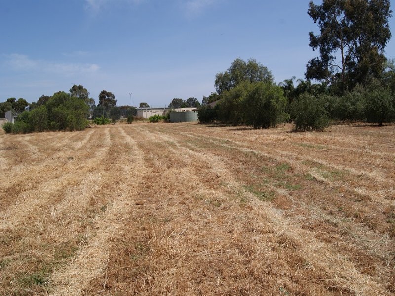 Lot 101 Angle Vale Road, Angle Vale, SA 5117