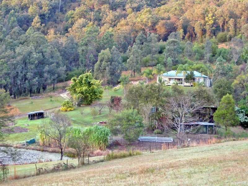 219 Eight Mile Creek Road, Wittitrin, NSW 2440