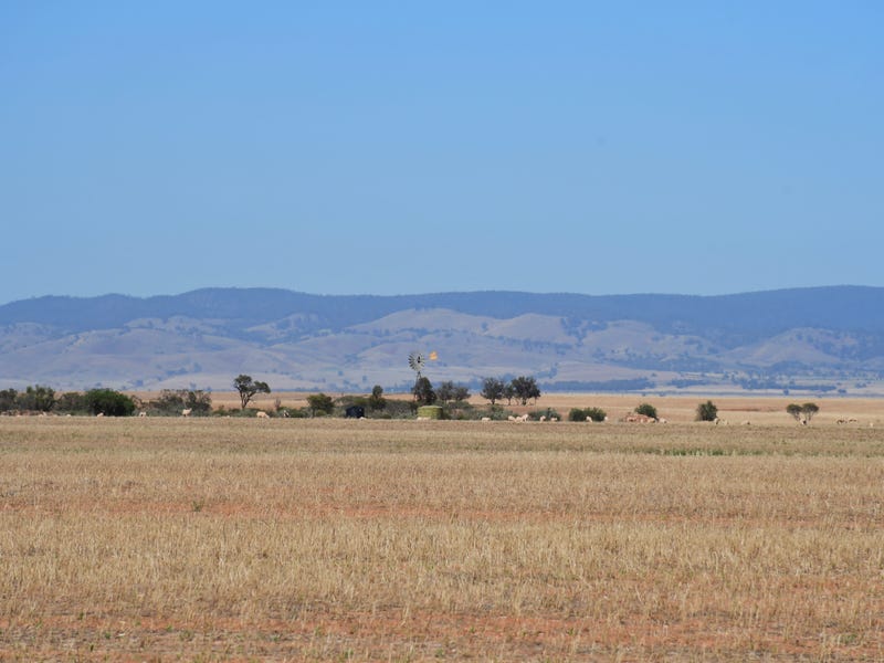 Lots 25W & 26 Amyton Road, Wilmington, SA 5485 Cropping for Sale