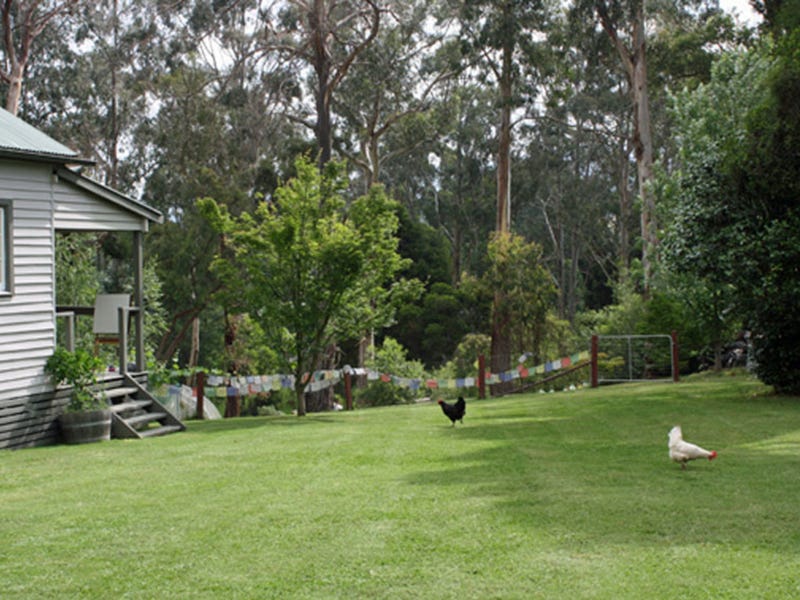 2213 Maroondah Highway, Buxton, Vic 3711 Property Details