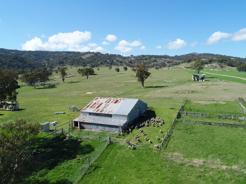 924a Kildare Road, Tenterfield, NSW 2372 Property Details