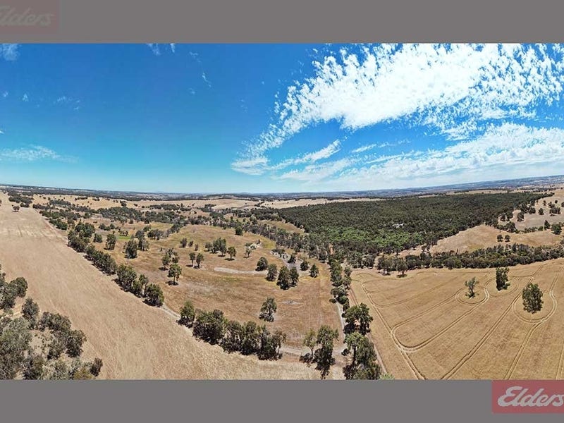 3153 Pig Gully Road, Williams, WA 6391 Other for Sale