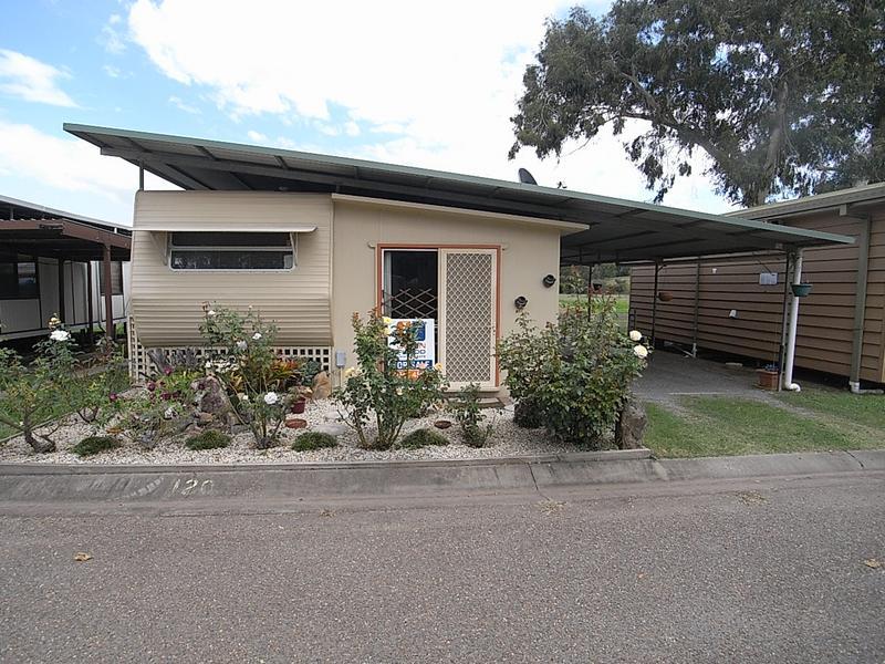 Site 120 Pinaroo Caravan Park Muswellbrook Nsw 2333 Property