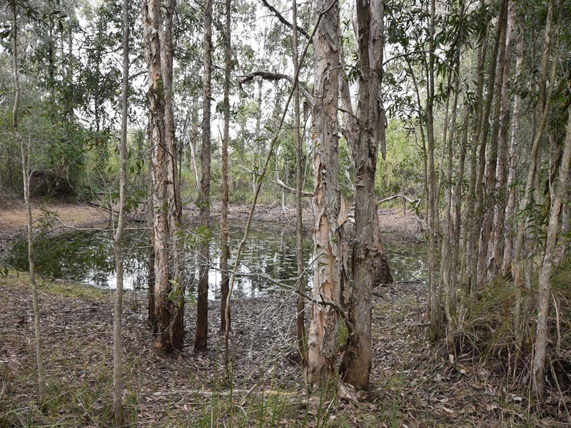 2923 Old Tenterfield Road, Busbys Flat, NSW 2469