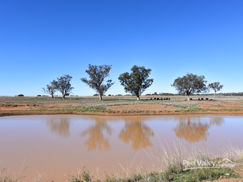 Rural properties for Sale in Manilla, NSW 2346