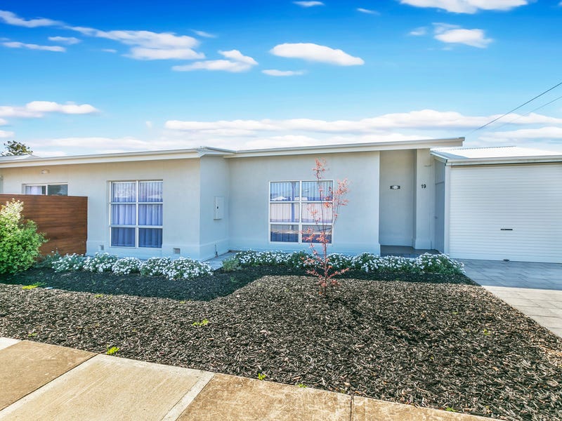 19 Nilpena Avenue, Park Holme, SA 5043