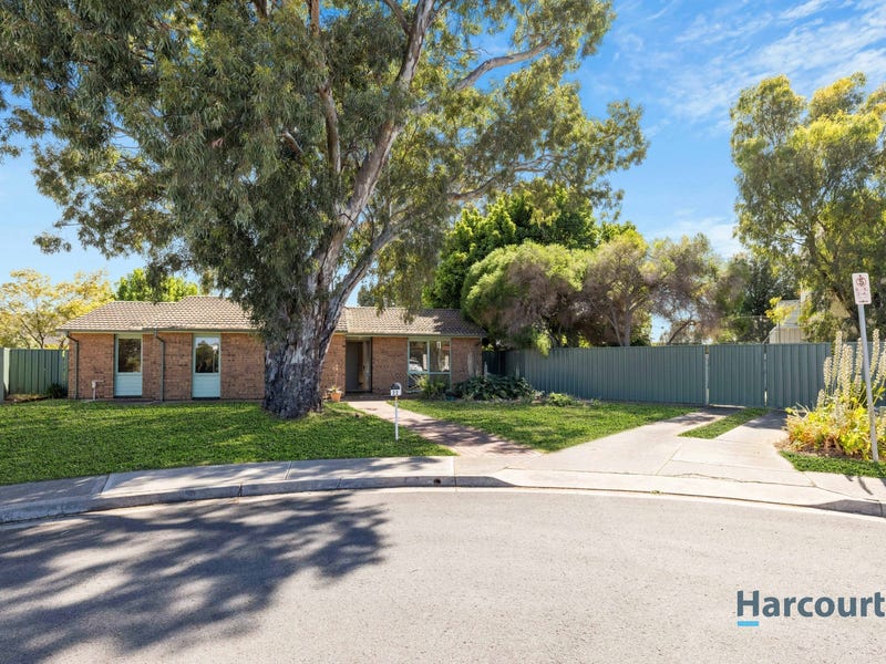 22 Jasmine Avenue, Marion, SA 5043